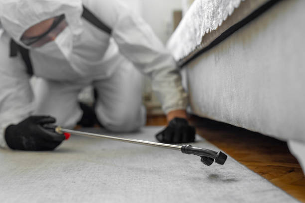 Professional Termite Control technician working in Towanda, KS