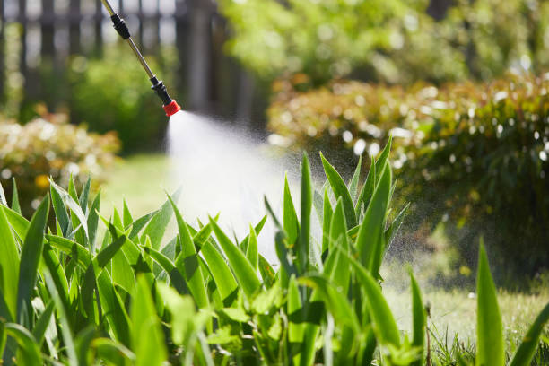 24/7 Emergency Termite Control experts in Towanda, KS